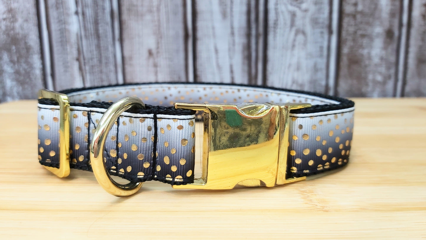 Collier pour chien