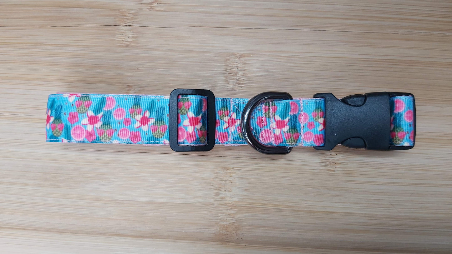Collier pour chien