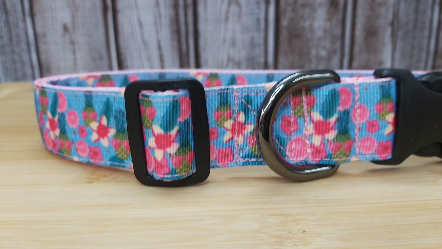 Collier pour chien