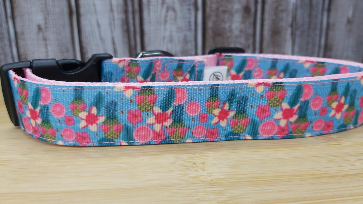 Collier pour chien