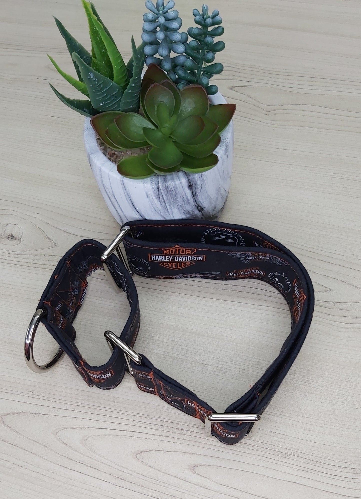 Martingale pour chien