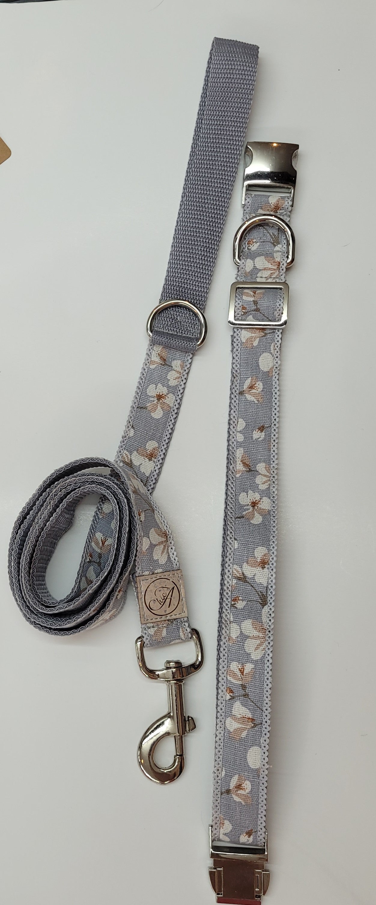 Ensemble collier et laisse pour chien