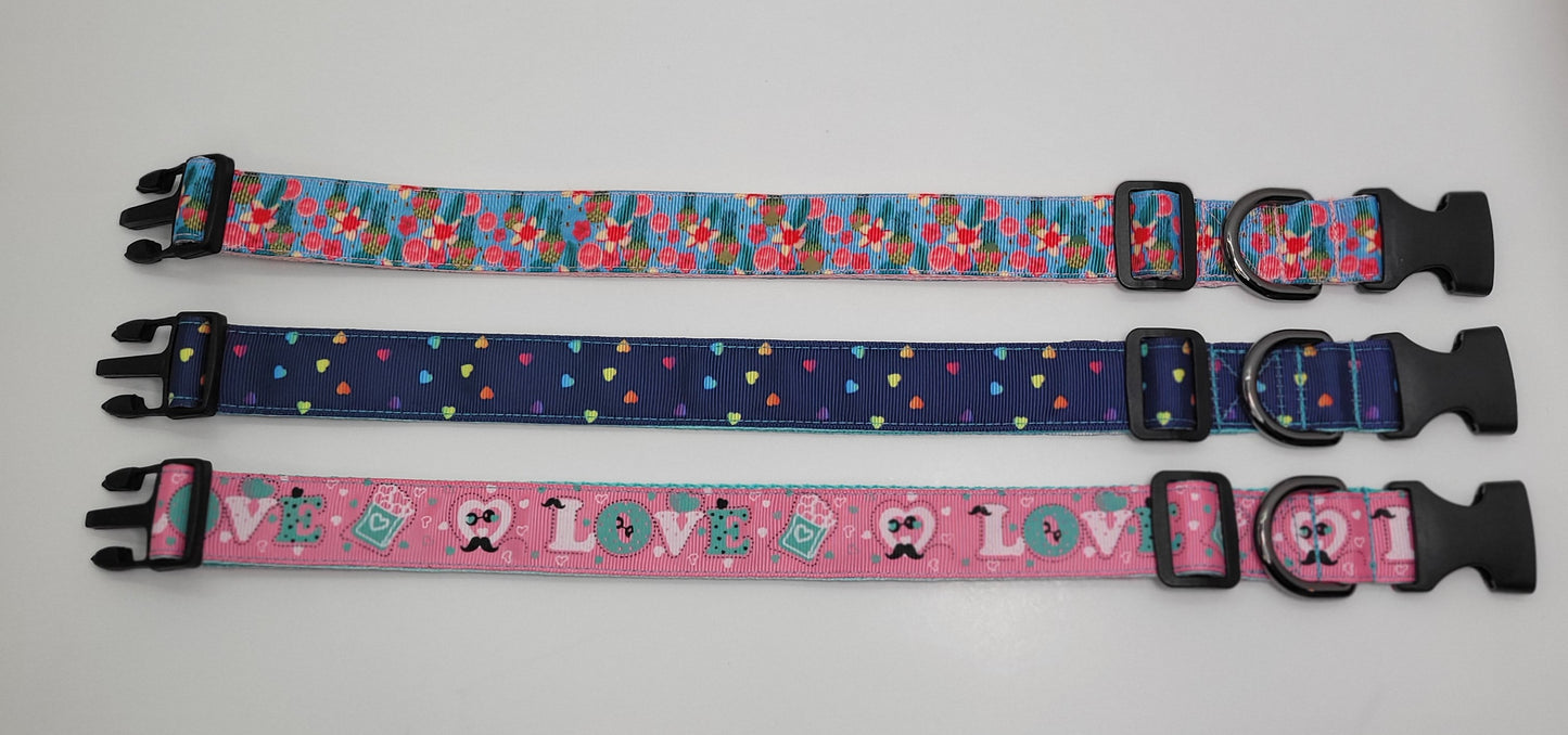Collier pour chien