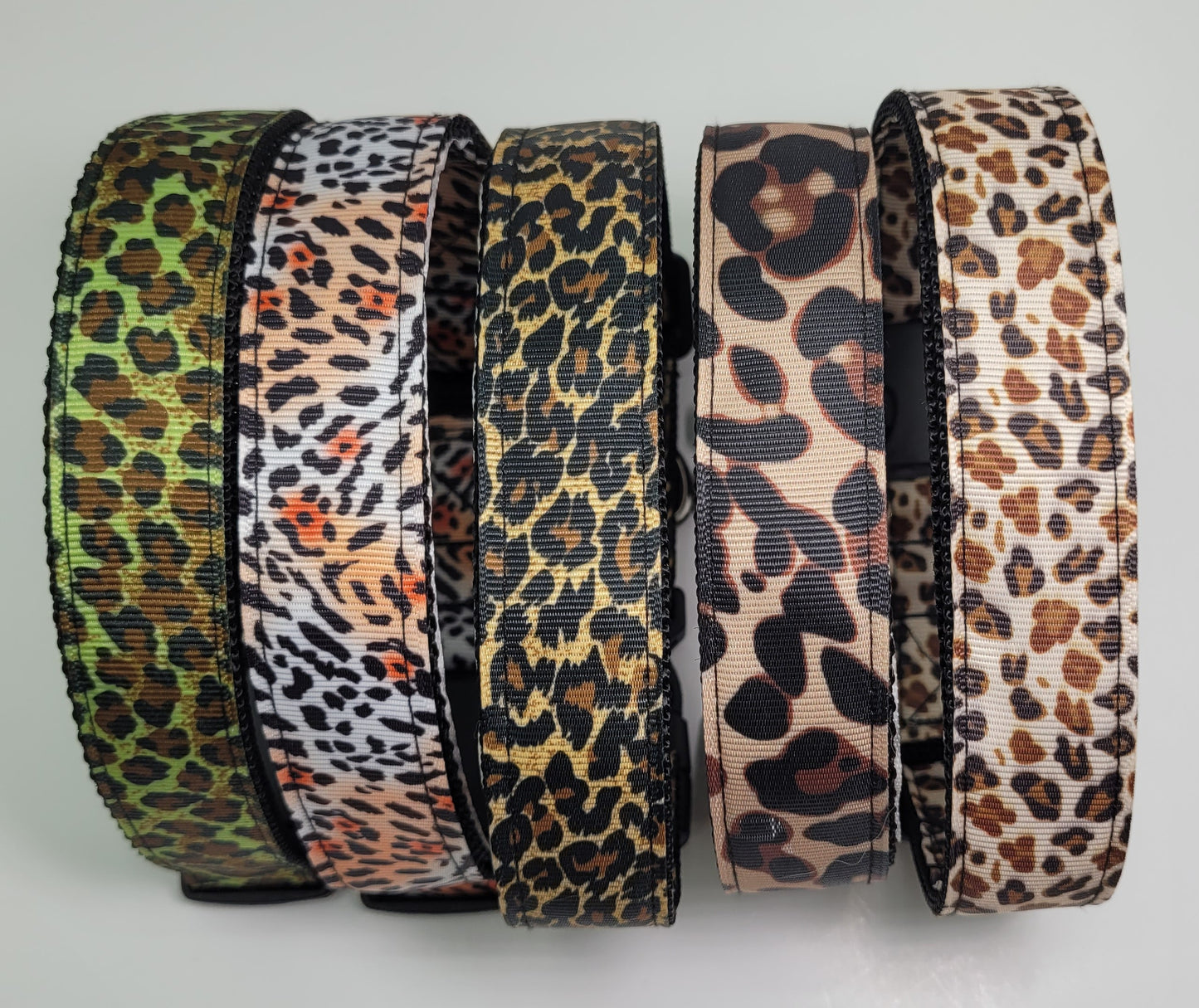 Collier pour chien