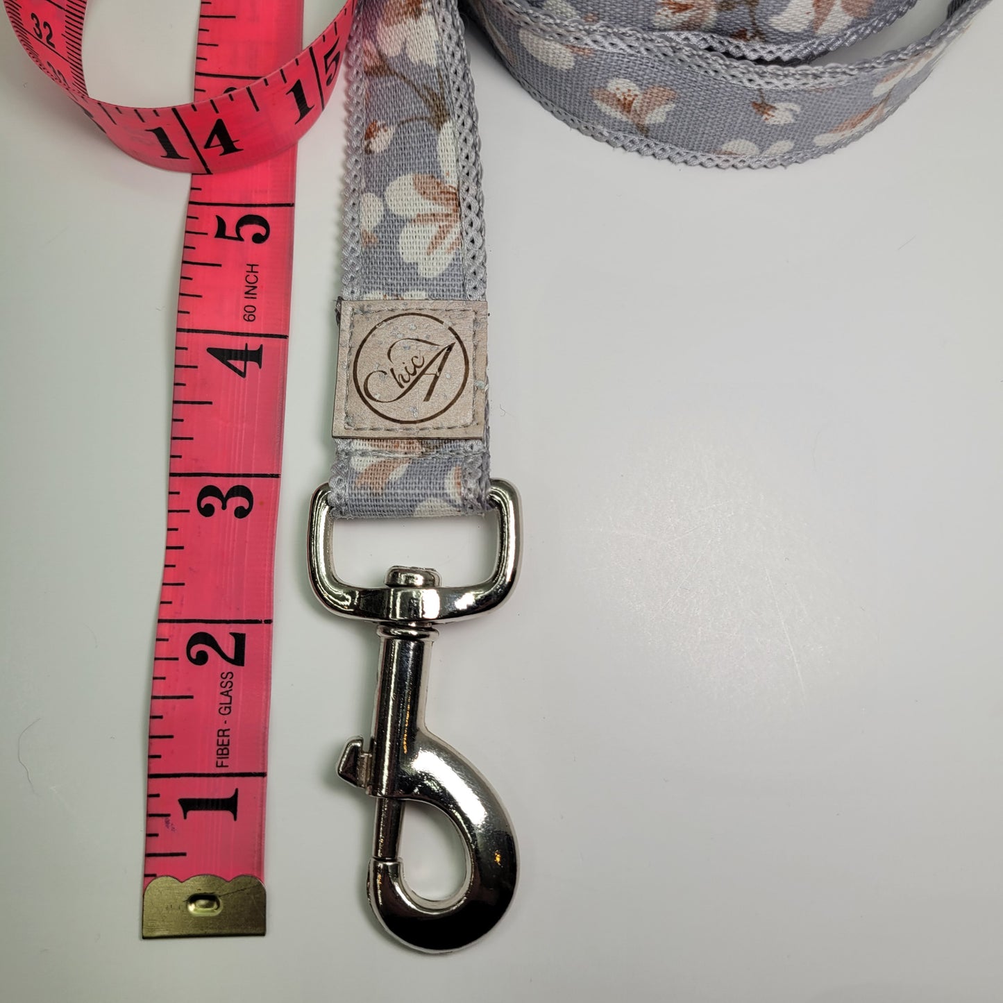 Ensemble collier et laisse pour chien