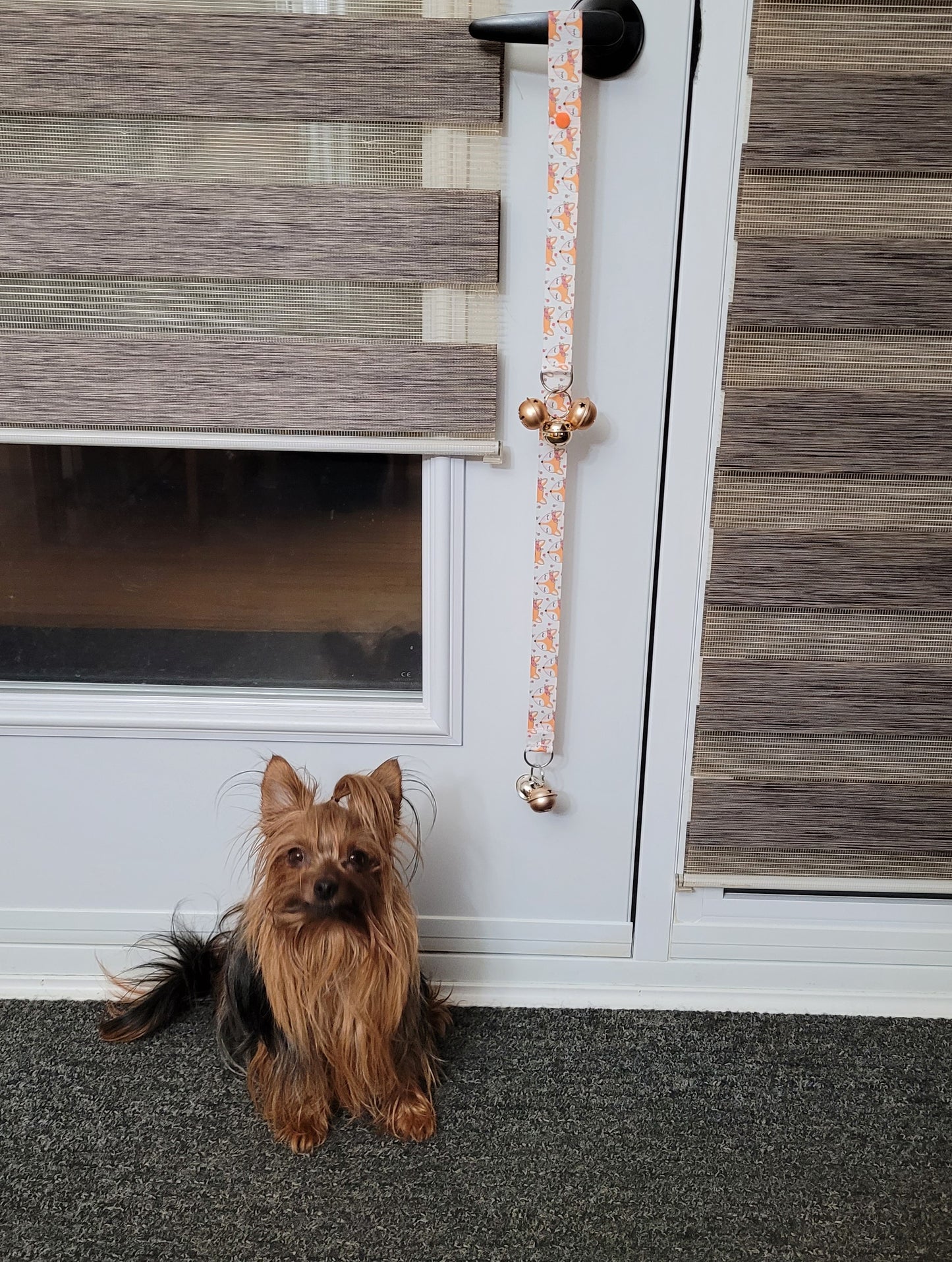 Clochettes d'apprentissage à la propreté pour chien