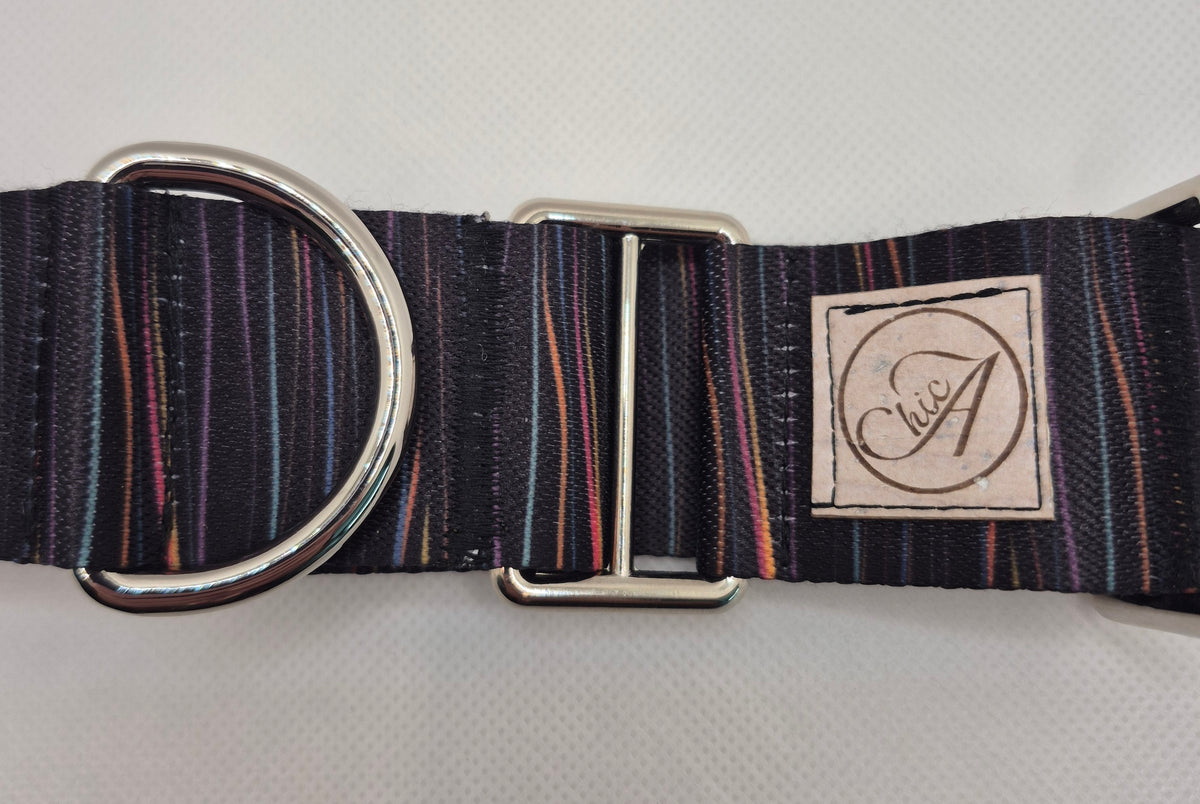 Martingale pour chien
