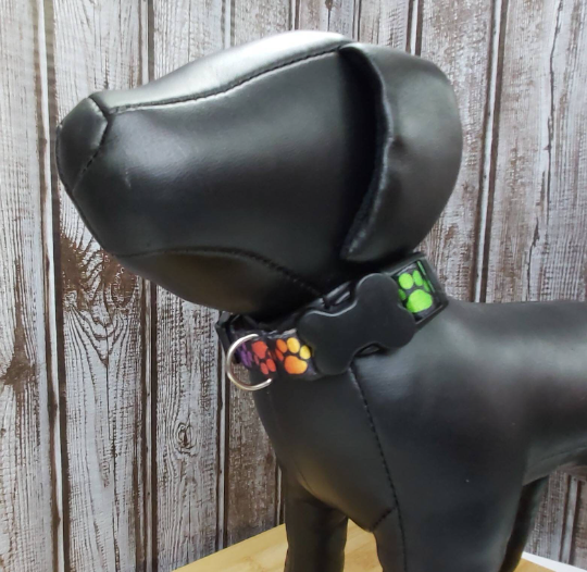 Collier pour chien