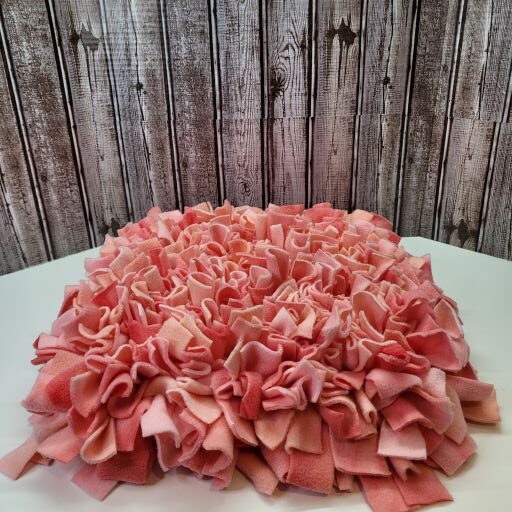 Tapis de fouille pour chien et chat (snuffle mat)