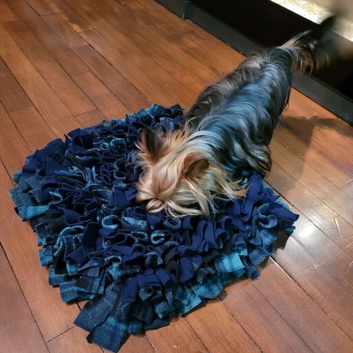 Tapis de fouille pour chien et chat (snuffle mat)