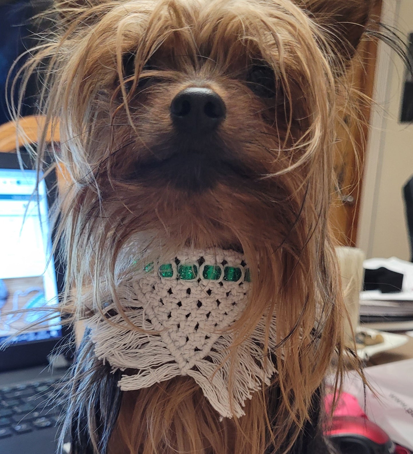Foulard chat/chien en macramé