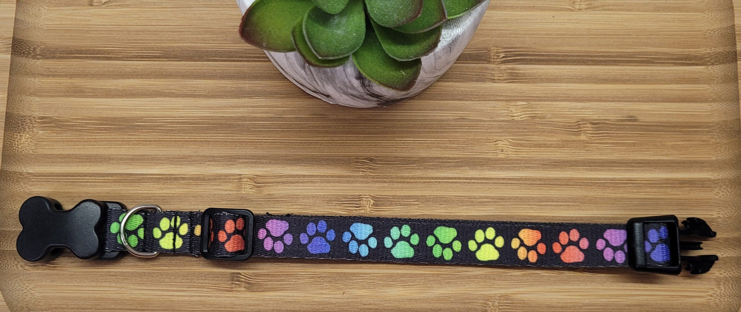 Collier pour chien