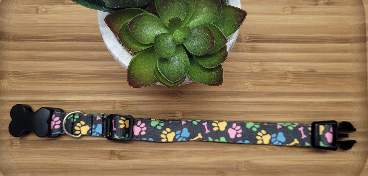 Collier pour chien