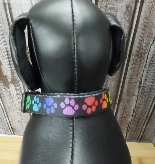 Collier pour chien