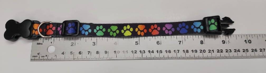 Collier pour chien
