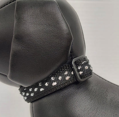 Collier pour chien