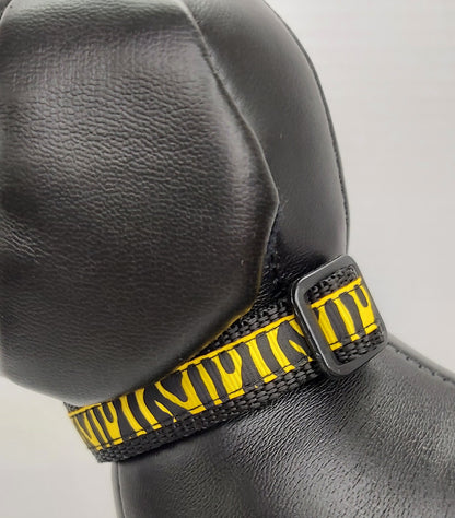 Collier pour chien