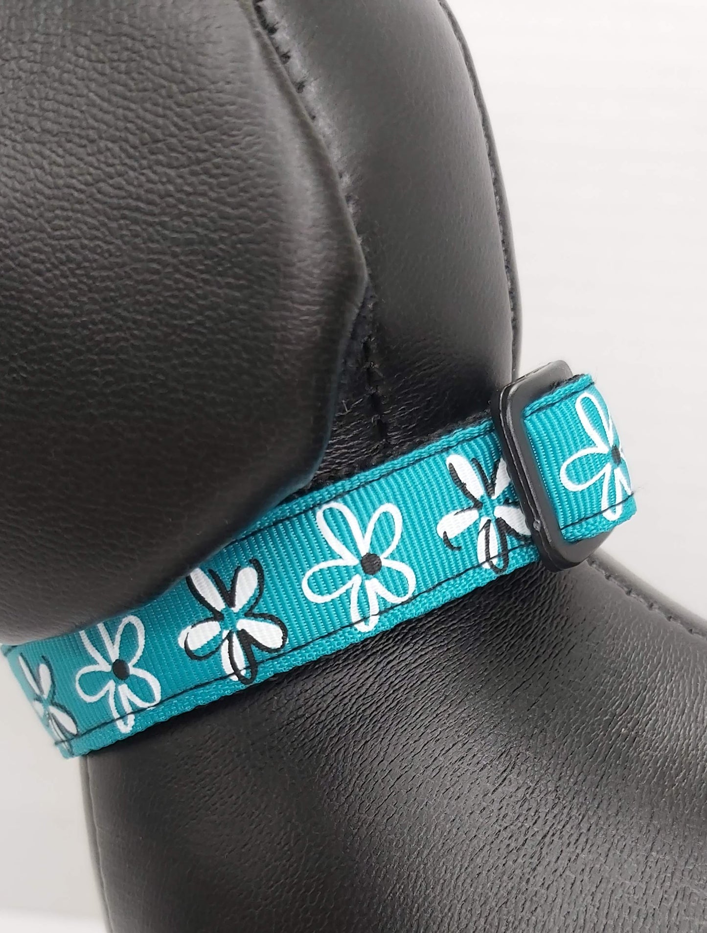 Collier pour chien