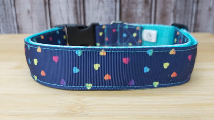 Collier pour chien
