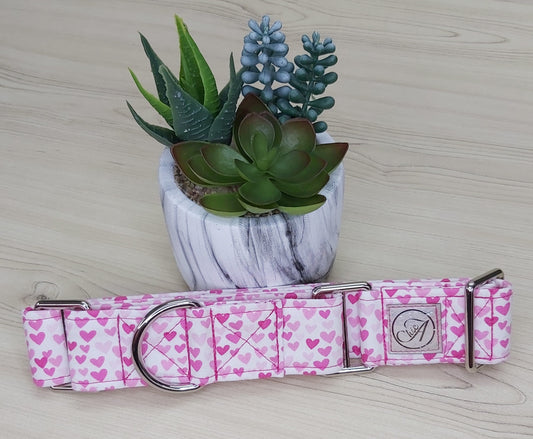 Martingale pour chien