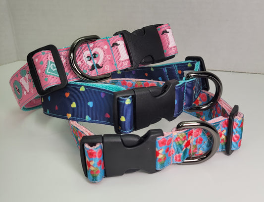 Collier pour chien