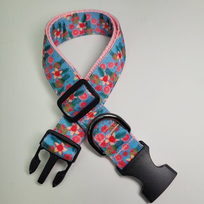 Collier pour chien