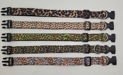 Collier pour chien