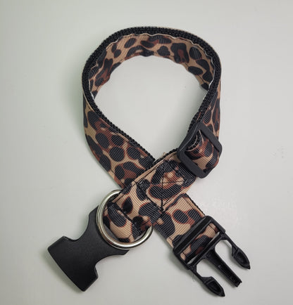 Collier pour chien