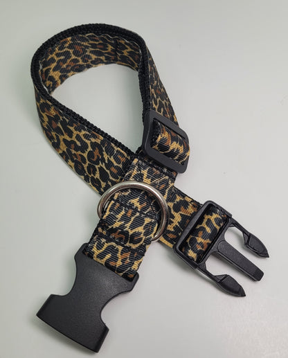 Collier pour chien