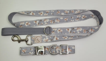 Ensemble collier et laisse pour chien