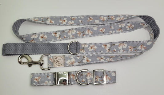 Ensemble collier et laisse pour chien