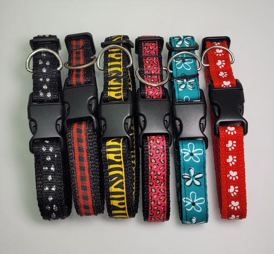 Collier pour chien