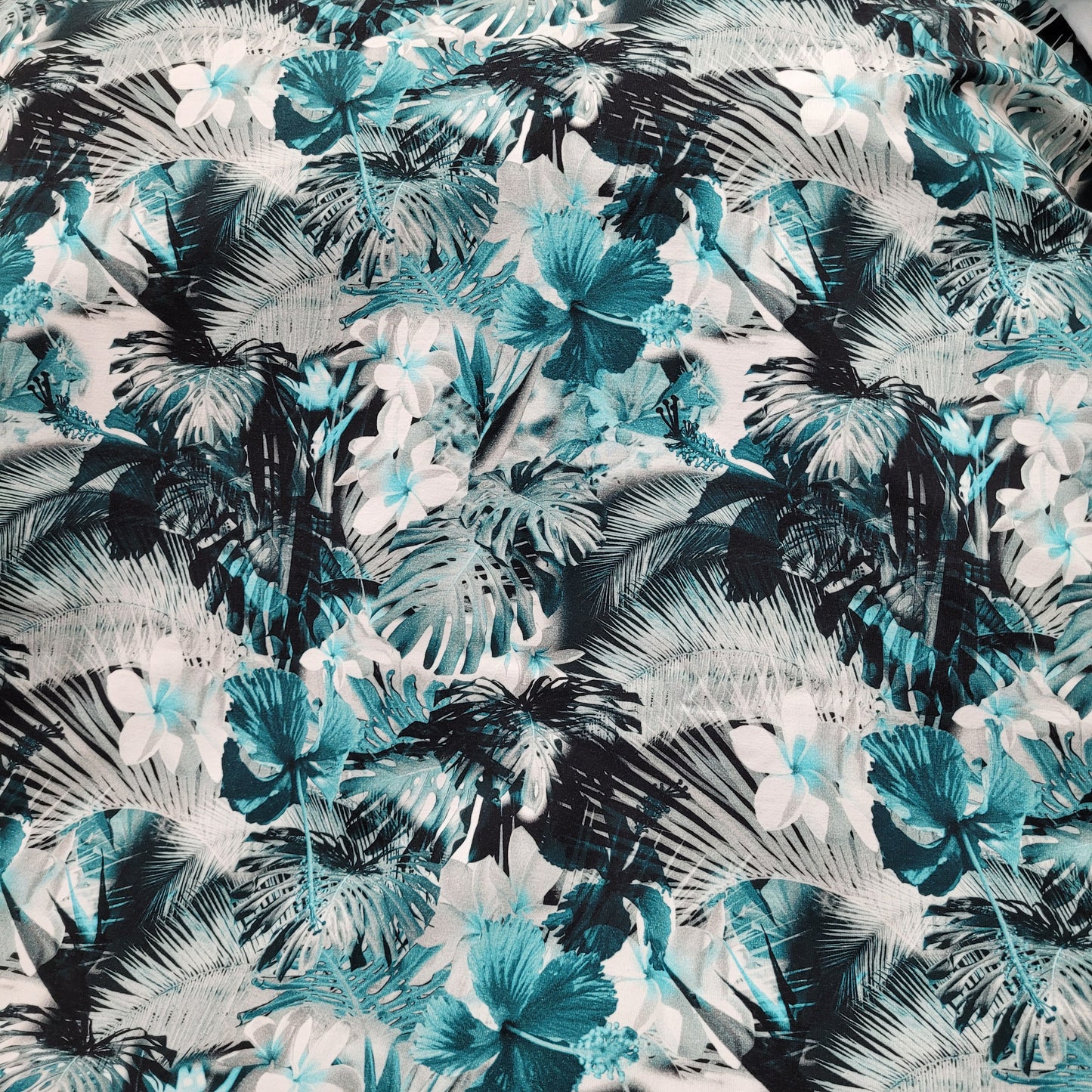 Coton lycra
