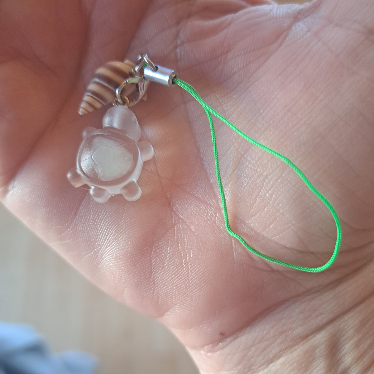 🐢🍀 Aventurine, la Tortue Porte-Bonheur 🍀🐢
