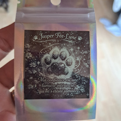 🐾✨ Jasper Fée-Lyne ✨🐾