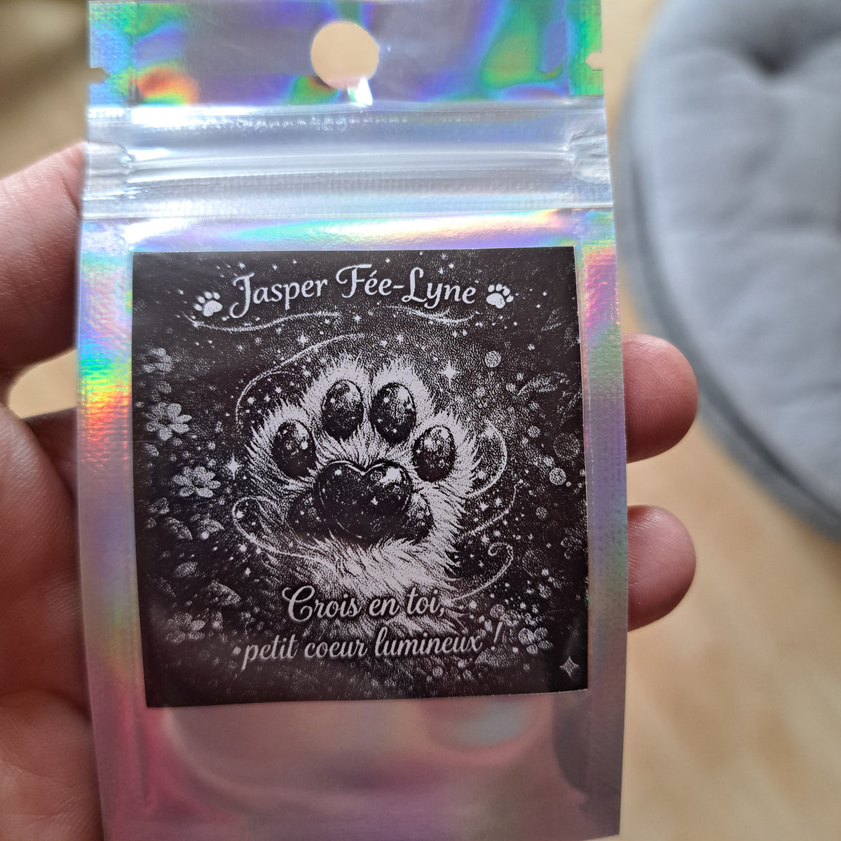 🐾✨ Jasper Fée-Lyne ✨🐾