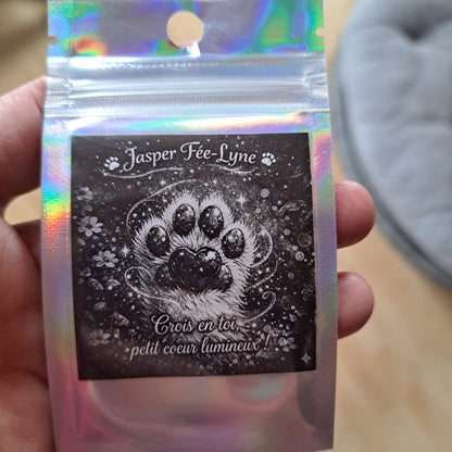 🐾✨ Jasper Fée-Lyne ✨🐾