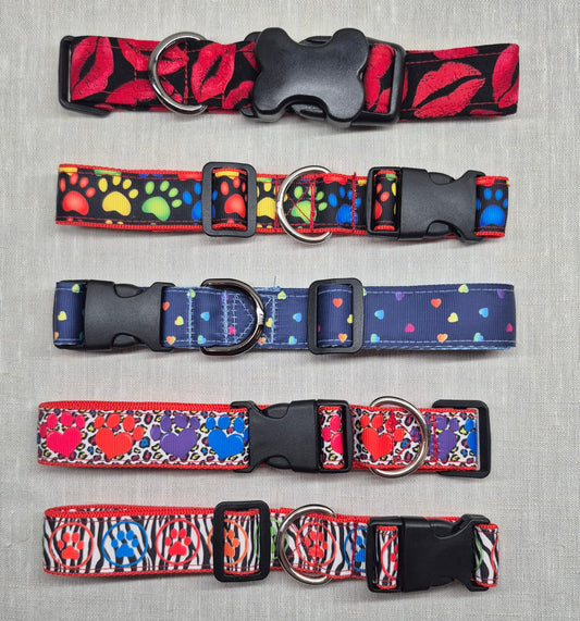 Collier pour chien