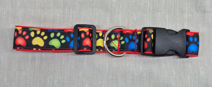 Collier pour chien