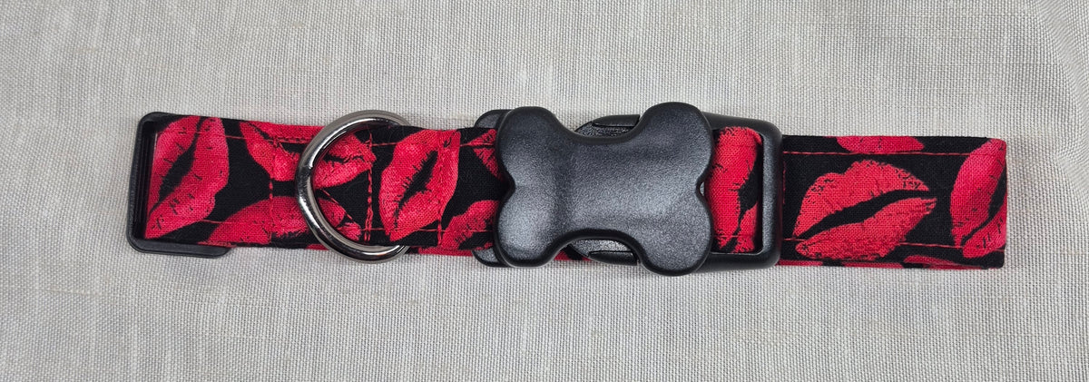 Collier pour chien