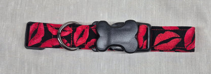 Collier pour chien