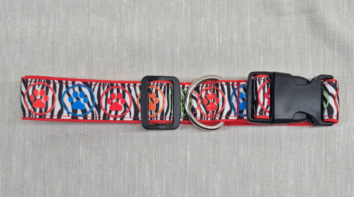 Collier pour chien