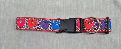 Collier pour chien