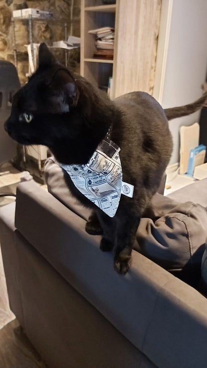 Bandana pour chat, foulard pour chat, spynx,