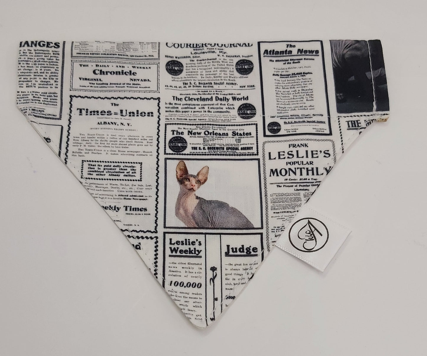 Bandana pour chat, foulard pour chat, spynx,