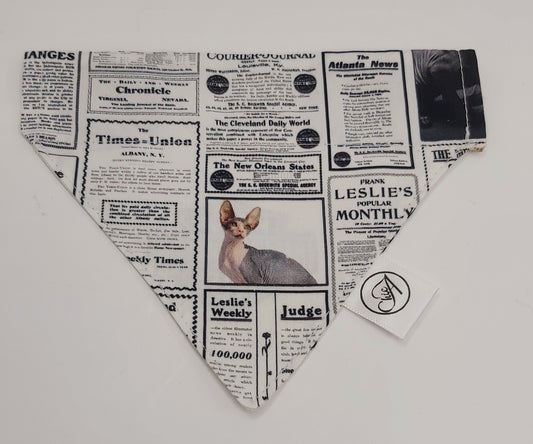 Bandana pour chat, foulard pour chat, spynx,
