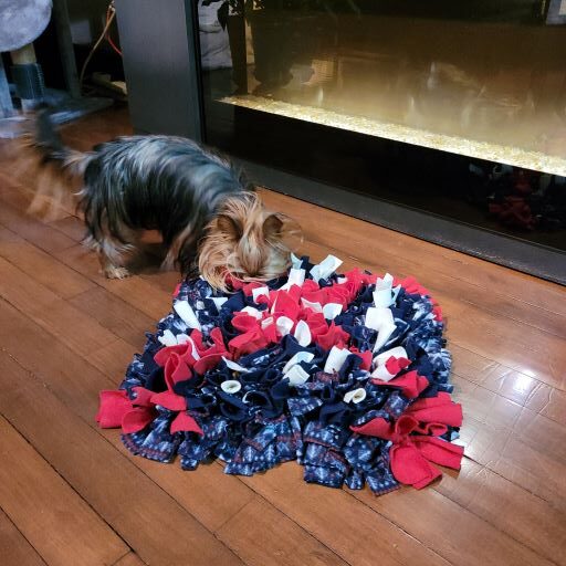 Tapis de fouille pour chien et chat (snuffle mat)