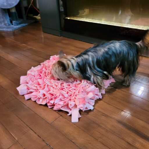 Tapis de fouille pour chien et chat (snuffle mat)