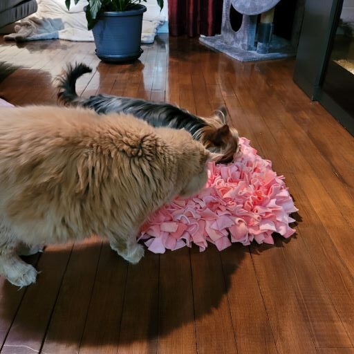Tapis de fouille pour chien et chat (snuffle mat)