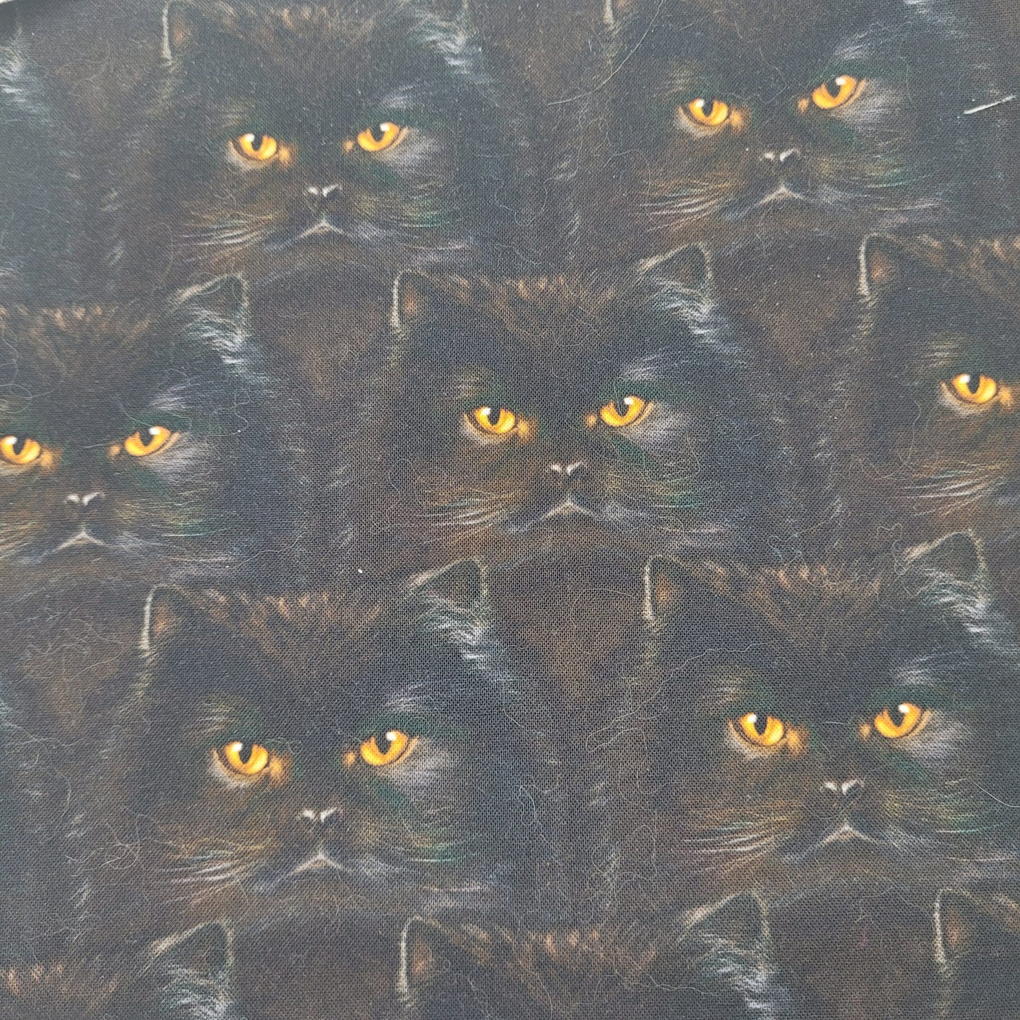 Bouillotte sèche longue